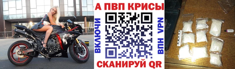 A PVP СК  Ногинск 