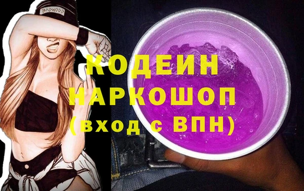 ПСИЛОЦИБИНОВЫЕ ГРИБЫ Арсеньев