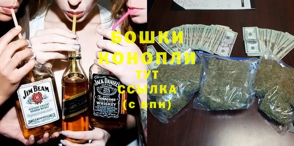 ПСИЛОЦИБИНОВЫЕ ГРИБЫ Арсеньев