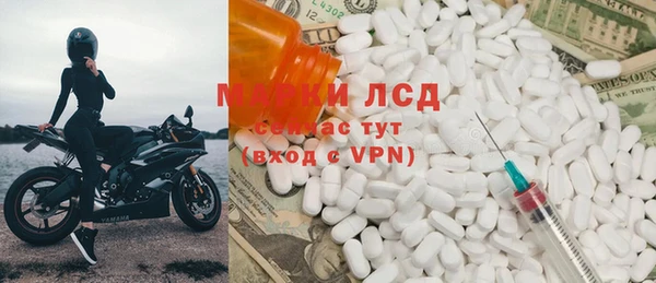 ПСИЛОЦИБИНОВЫЕ ГРИБЫ Арсеньев