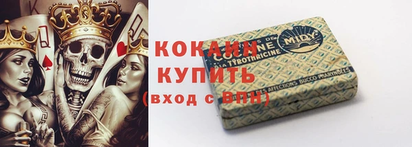 ПСИЛОЦИБИНОВЫЕ ГРИБЫ Арсеньев